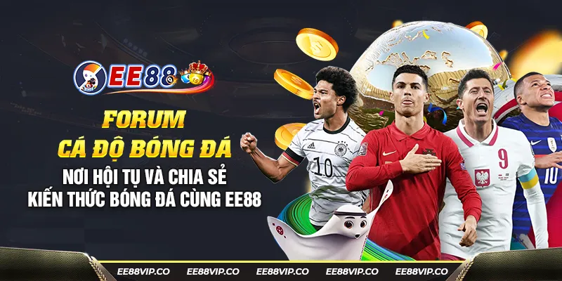 25 forum ca do bong da noi hoi tu va chia se kien thuc bong da cung ee88 17 11zon