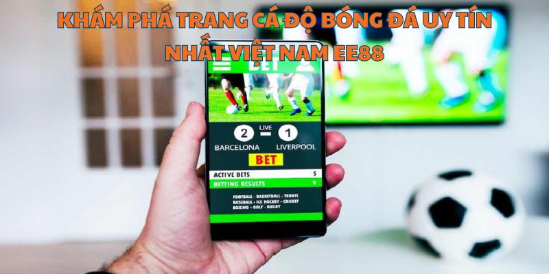 Trải nghiệm trang cá độ bóng đá uy tín nhất việt nam hiện nay