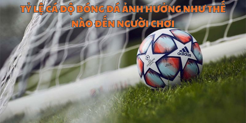 Tỷ lệ cược hấp dẫn giúp thu hút người chơi